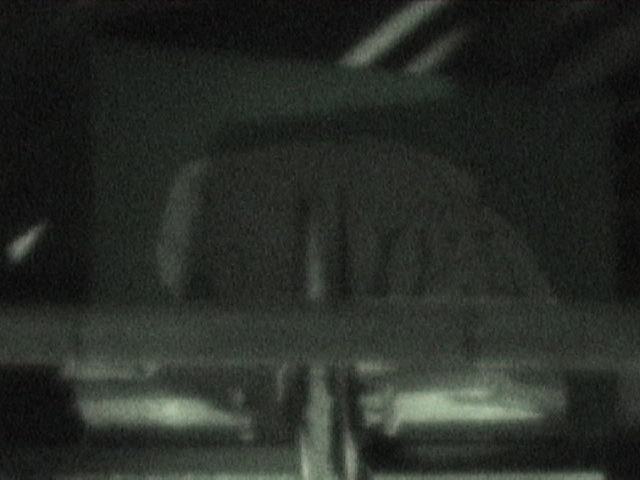 Indiana Jones Eeyore